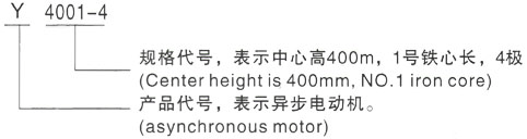 西安泰富西玛Y系列(H355-1000)高压YRKK5001-8/355KW三相异步电机型号说明